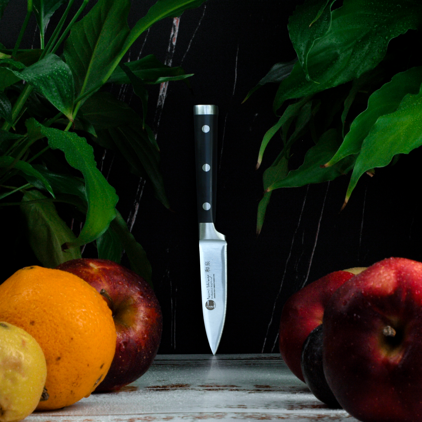 IZUMI ICHIAGO - 5-tlg. Santokumesser-Set "Professional Chef Knives"