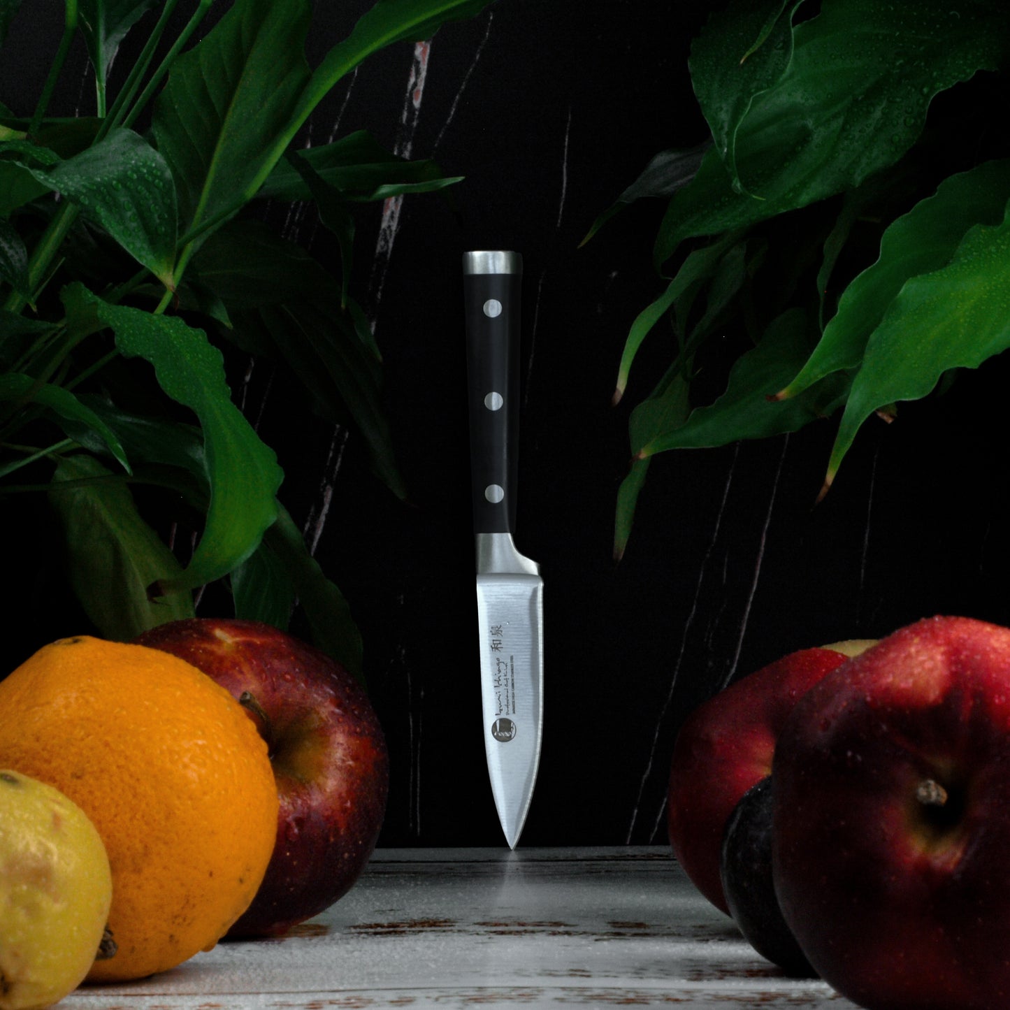 IZUMI ICHIAGO - 3-tlg. Kochmesser Set aus Japanese High Carbon Stainless Steel